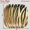 Tiger Theme Party Pack for 24 Guests! Photo-Realistic Tiger Supplies for a Roaring Good Birthday, Football, or any Big Cat Event! Includes 24 Dinner Plates & 24 Side Plates